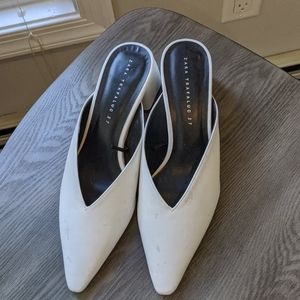 Zara mules